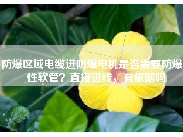 防爆區(qū)域電纜進(jìn)防爆電機(jī)是否需要防爆撓性軟管？直接進(jìn)線，有依據(jù)嗎