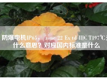 防爆電機(jī)IP65， zone 22 Ex td IIIC T197℃是什么意思？對(duì)應(yīng)國內(nèi)標(biāo)準(zhǔn)是什么