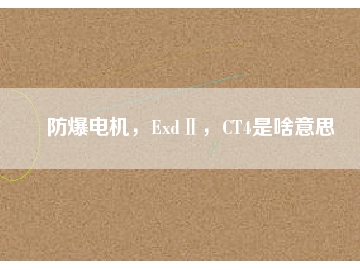 防爆電機(jī)，ExdⅡ，CT4是啥意思