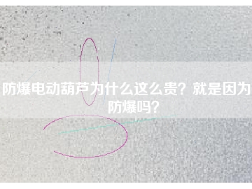防爆電動(dòng)葫蘆為什么這么貴？就是因?yàn)槟芊辣瑔幔?></div>
                            <div   id=