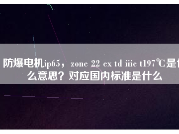防爆電機(jī)ip65，zone 22 ex td iiic t197℃是什么意思？對應(yīng)國內(nèi)標(biāo)準(zhǔn)是什么