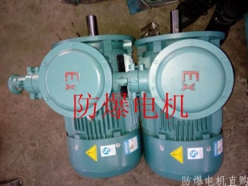 防爆電機(jī)分類(lèi)：防爆電機(jī)選型、參數(shù)、定義