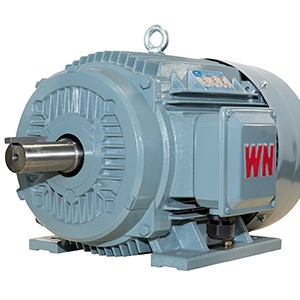 TYCP2系列三相變頻驅(qū)動永磁同步電動機