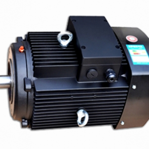 多級(jí)泵專用電機(jī)