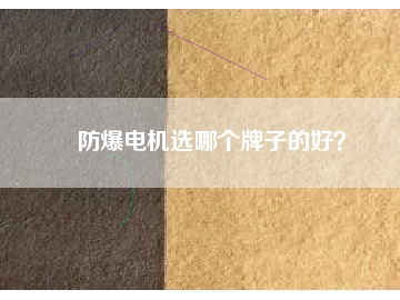 防爆電機(jī)選哪個牌子的好？