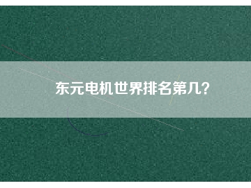 東元電機(jī)世界排名第幾？