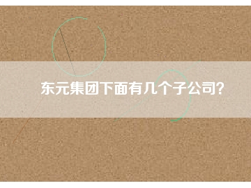 東元集團下面有幾個子公司？