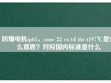 防爆電機ip65，zone 22 ex td iiic t197℃是什么意思？對應國內標準是什么