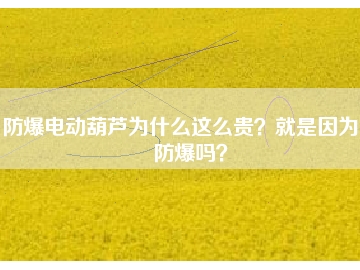 防爆電動葫蘆為什么這么貴？就是因為能防爆嗎？