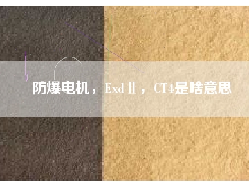 防爆電機，ExdⅡ，CT4是啥意思