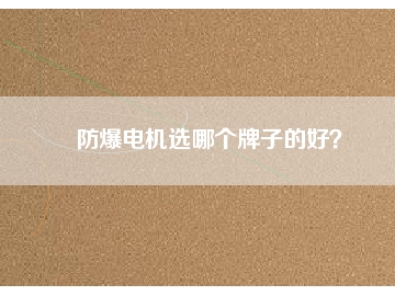 防爆電機選哪個牌子的好？