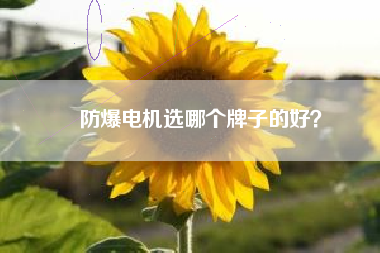防爆電機選哪個牌子的好？