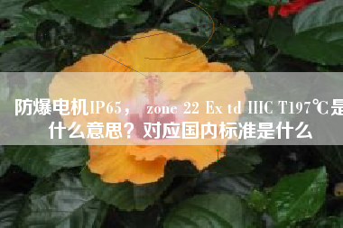 防爆電機IP65， zone 22 Ex td IIIC T197℃是什么意思？對應國內標準是什么