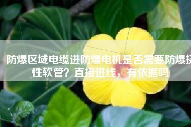 防爆區(qū)域電纜進防爆電機是否需要防爆撓性軟管？直接進線，有依據(jù)嗎