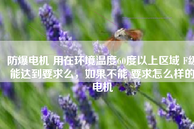 防爆電機(jī) 用在環(huán)境溫度60度以上區(qū)域 F級(jí)能達(dá)到要求么，如果不能 要求怎么樣的電機(jī)
