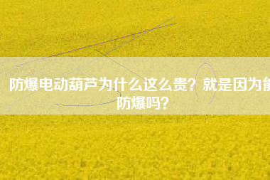 防爆電動葫蘆為什么這么貴？就是因?yàn)槟芊辣瑔幔? title=
