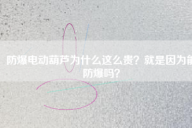 防爆電動葫蘆為什么這么貴？就是因為能防爆嗎？