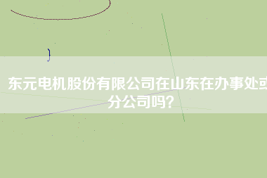 東元電機(jī)股份有限公司在山東在辦事處或分公司嗎？