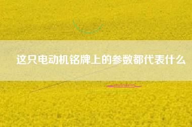 這只電動機(jī)銘牌上的參數(shù)都代表什么 這只電動機(jī)銘牌上的參數(shù)都代表什么