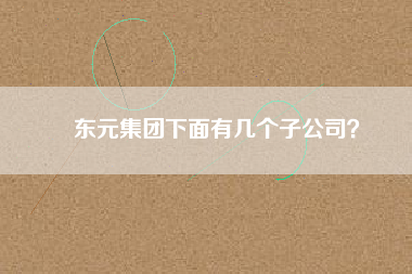 東元集團下面有幾個子公司？