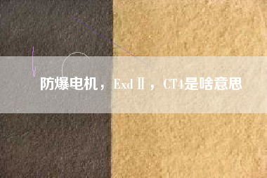 防爆電機，ExdⅡ，CT4是啥意思