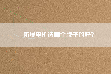 防爆電機(jī)選哪個(gè)牌子的好？