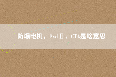 防爆電機(jī)，ExdⅡ，CT4是啥意思